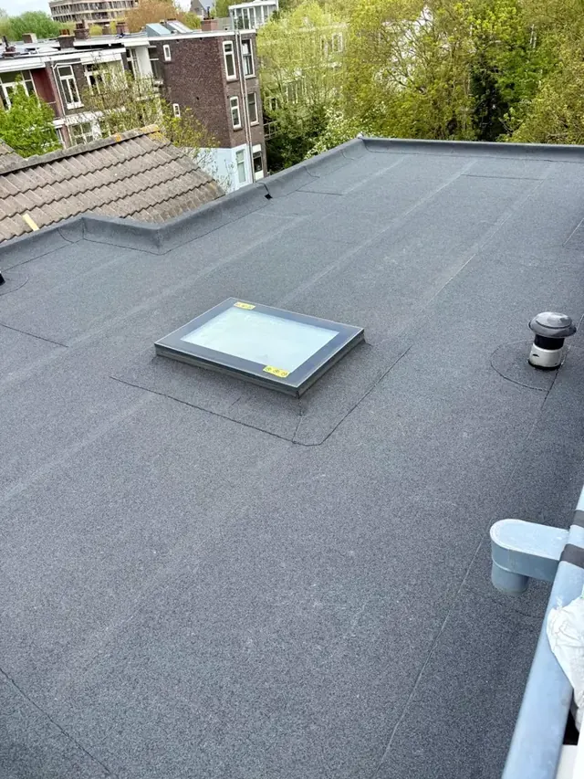 Plat dak met lichtkoepel — Overzicht van het dakvlak, de dakranden en de lichtkoepel.